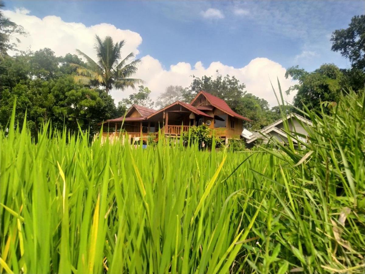 Jonny'S Places Tetebatu Ngoại thất bức ảnh