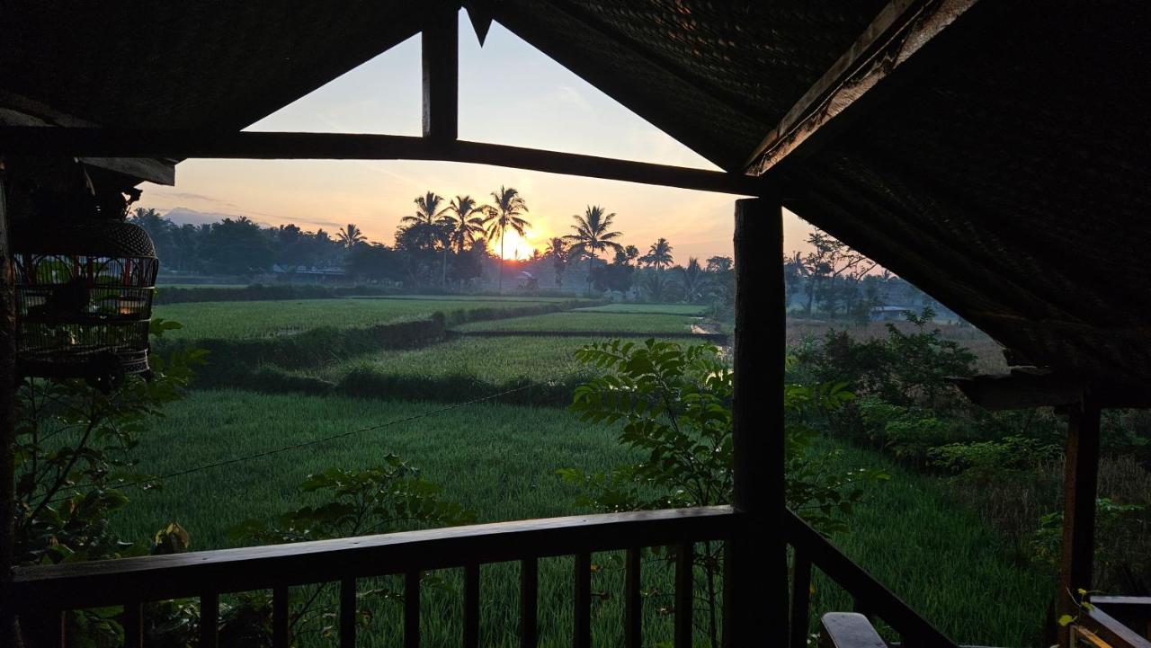Jonny'S Places Tetebatu Ngoại thất bức ảnh