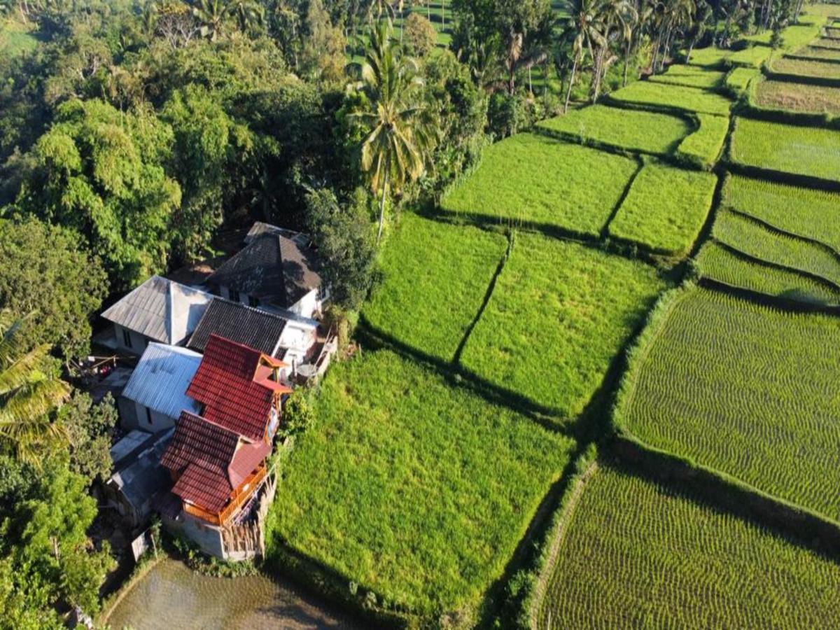 Jonny'S Places Tetebatu Ngoại thất bức ảnh