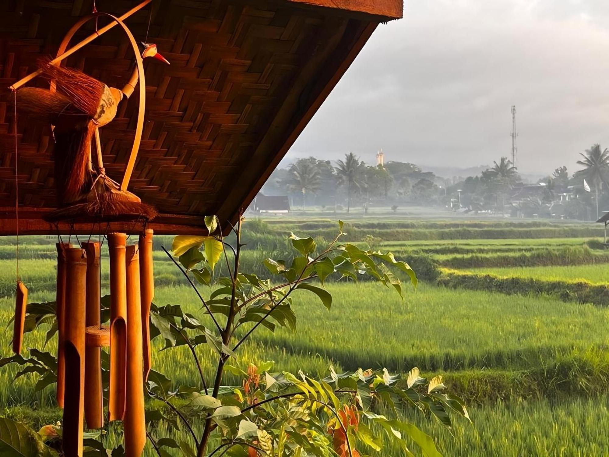 Jonny'S Places Tetebatu Ngoại thất bức ảnh
