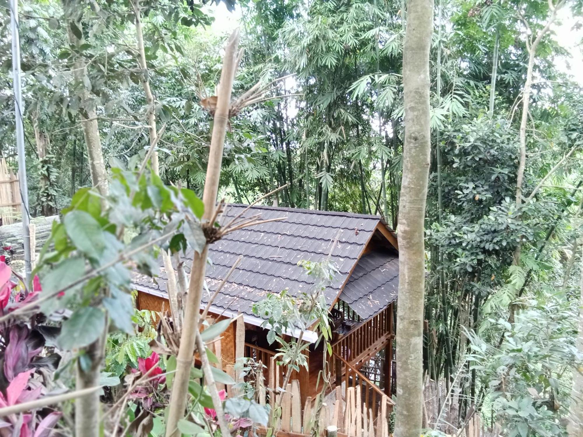 Jonny'S Places Tetebatu Ngoại thất bức ảnh